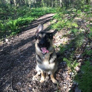 Meet your Posher, Christina